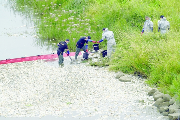 'Dead fish everywhere' in German-Polish river - Vimarsana News