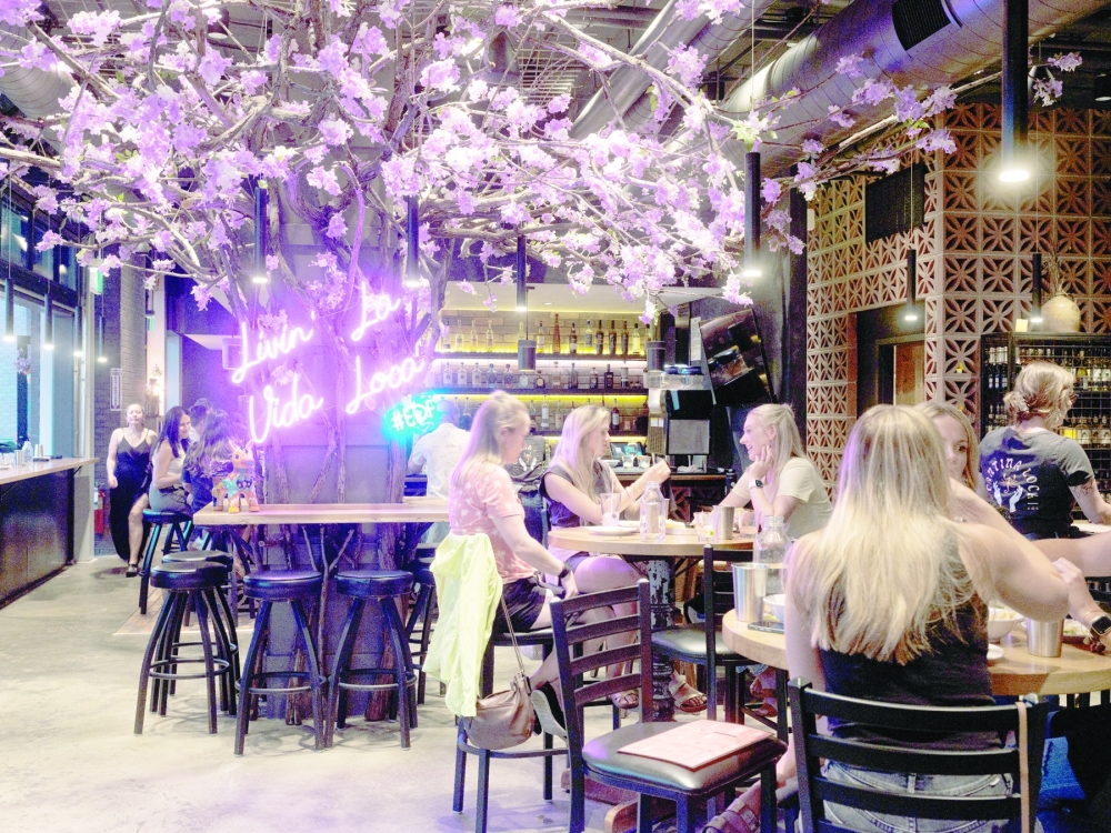 Cantina Loca, which offers shareable plates, like tempura-fried cactus, spicy pollo adobado and silky vanilla flan, in the LoHi neighborhood of Denver, July 14, 2022. (Benjamin Rasmussen/The New York Times)