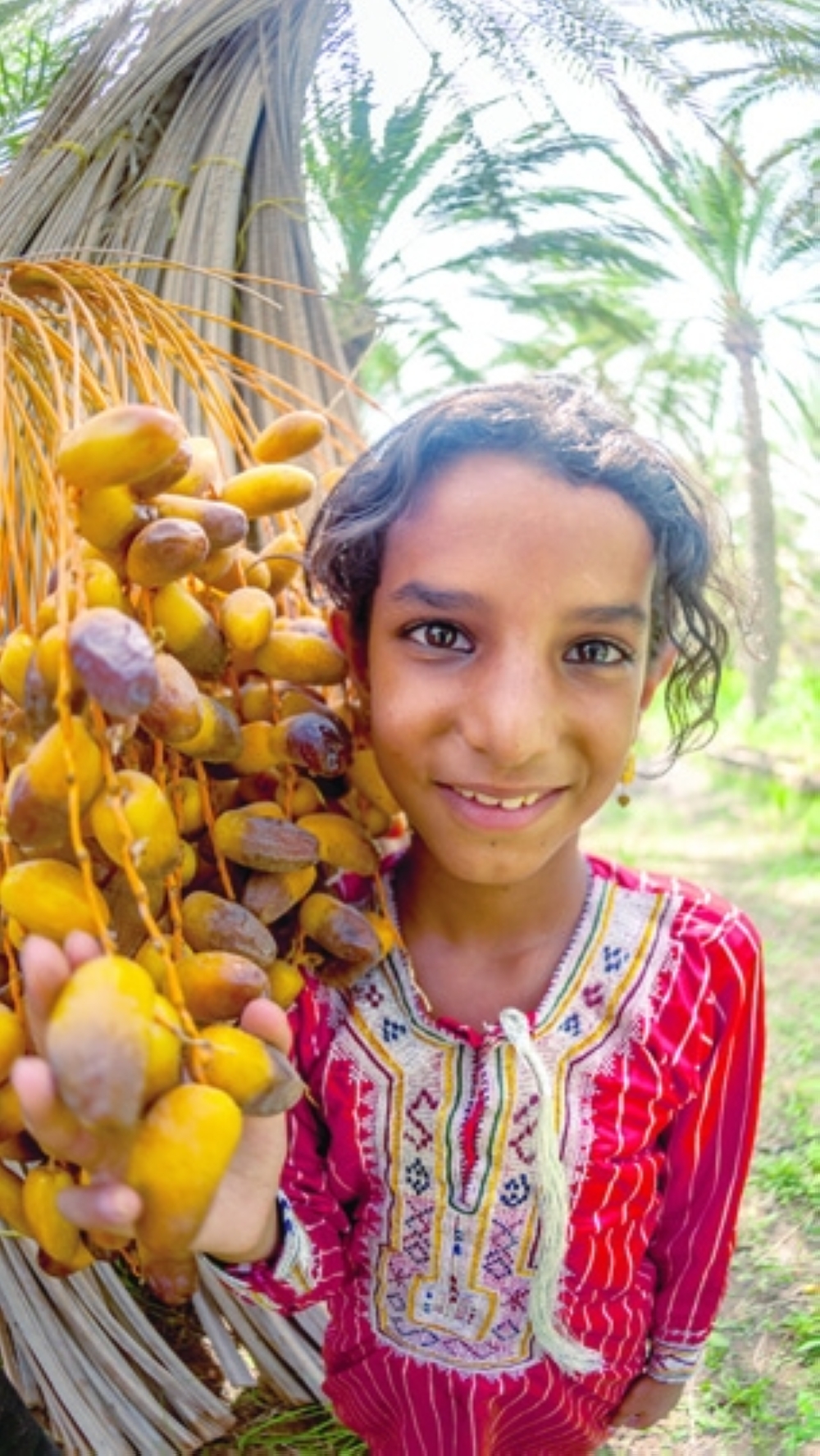 A Omani girl with the Tabseel dates harvest