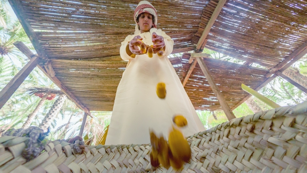 Kids helping during the Al Tabseel dates harvest in Bidiyah (1)
