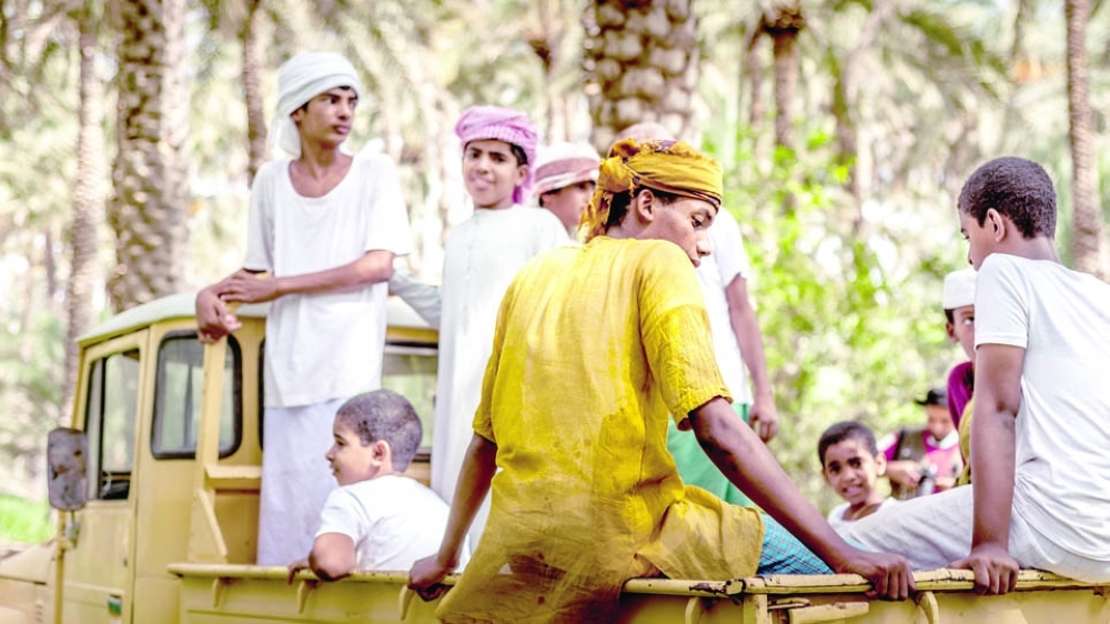 Al Tabseel dates harvest in Bidiyah (4)