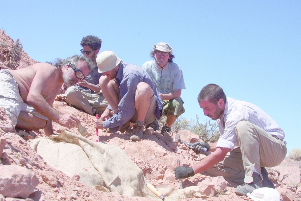 Palaeontologists work on the excavation of bones and fossils that belonged to a newly discovered species of bipedal armoured dinosaur, Jakapil kaniukura, in Rio Negro, Argentina February 2, 2016. Sebastian Apesteguia/Handout via REUTERS ATTENTION EDITORS - THIS IMAGE WAS PROVIDED BY A THIRD PARTY.
