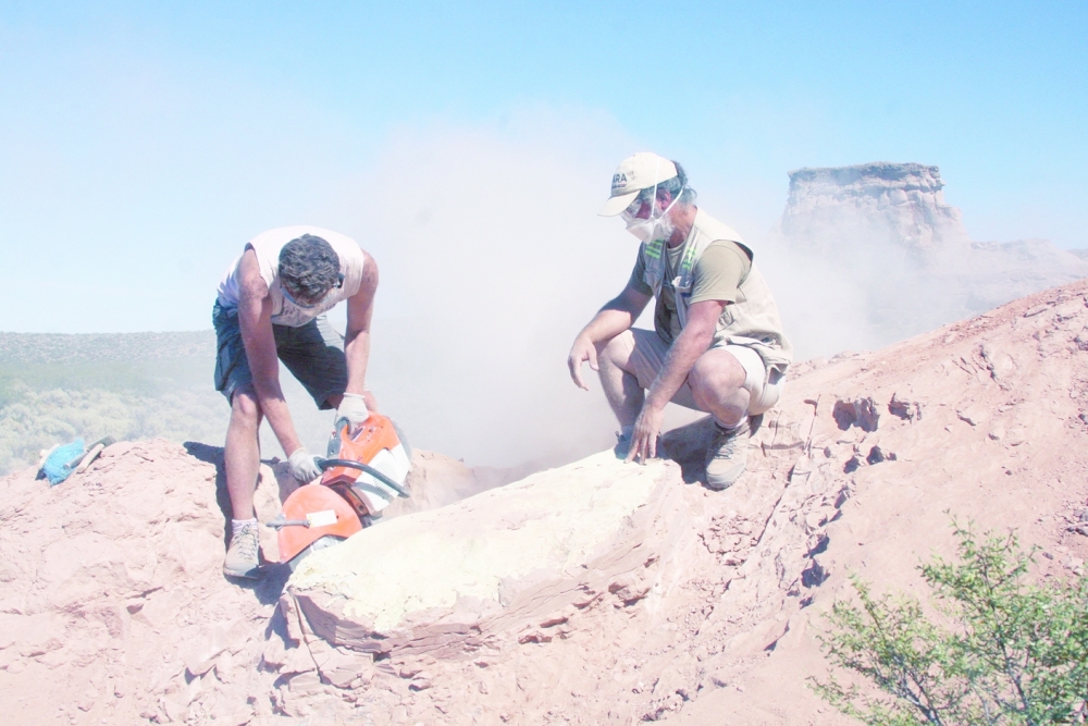 Palaeontologists work on the excavation of bones and fossils that belonged to a newly discovered species of bipedal armoured dinosaur, Jakapil kaniukura, in Rio Negro, Argentina February 6, 2019. Sebastian Apesteguia/Handout via REUTERS ATTENTION EDITORS - THIS IMAGE WAS PROVIDED BY A THIRD PARTY.
