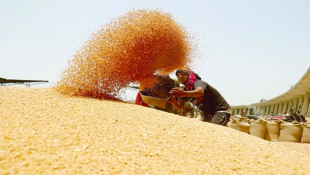 A worker sifts wheat before filling in sacks at a market yard on the outskirts of Ahmedabad