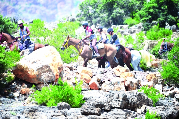 Al Jabal Al Akhdhar festival: Celebration of outdoors - Vimarsana News