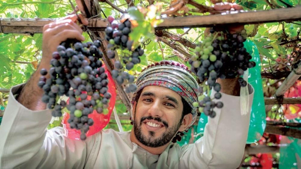 Photos by Ahmed al Toqi
