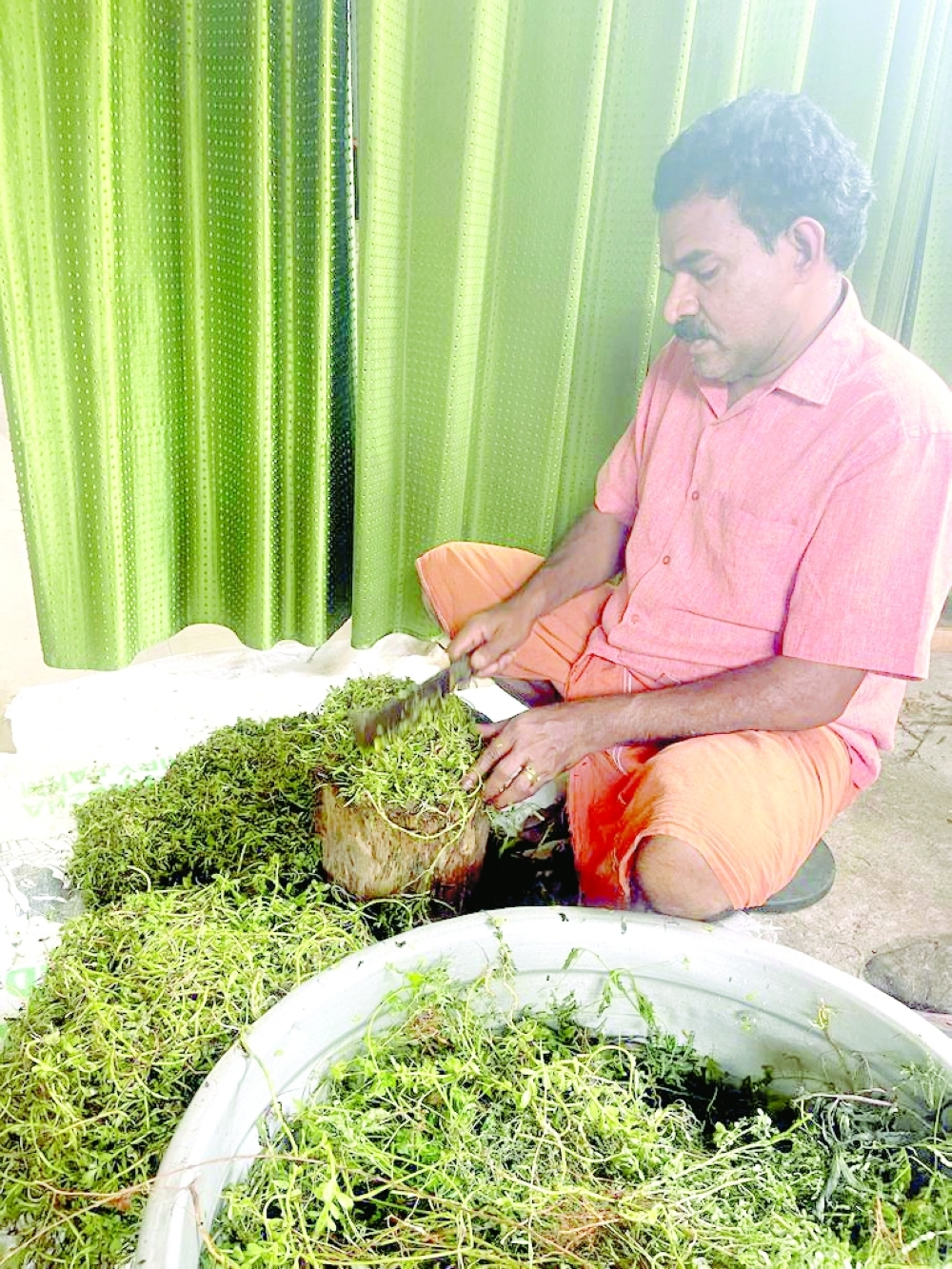 Dhanwandharan Vaidyan