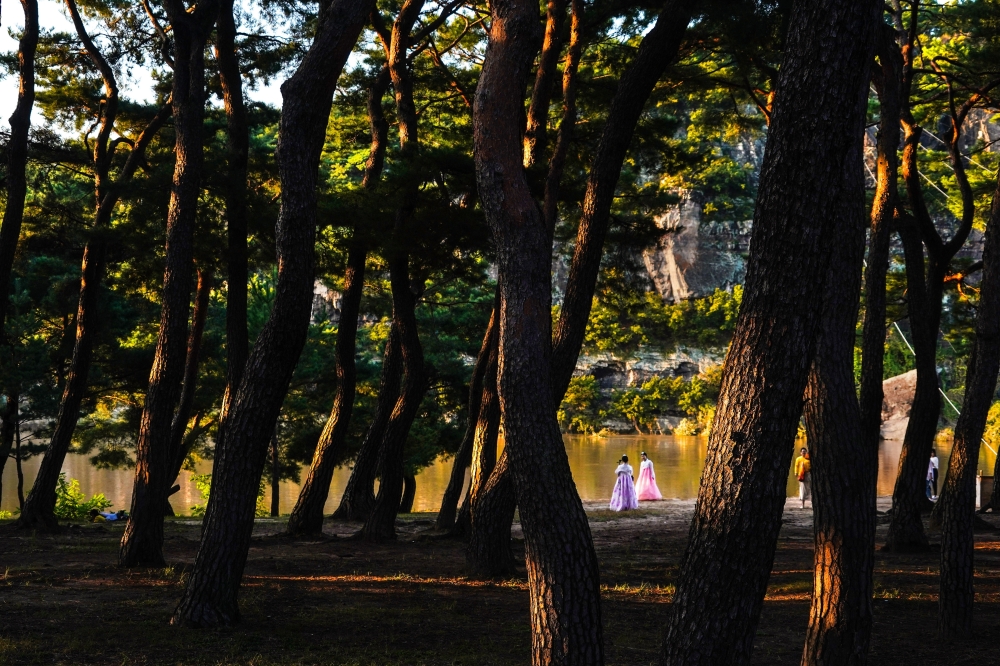 Visitors explore the pine forest at Andong Hahoe Hanok Village, a UNESCO World Heritage site in Andong, South Korea, Oct. 4, 2019. (Chang W. Lee/The New York Times)