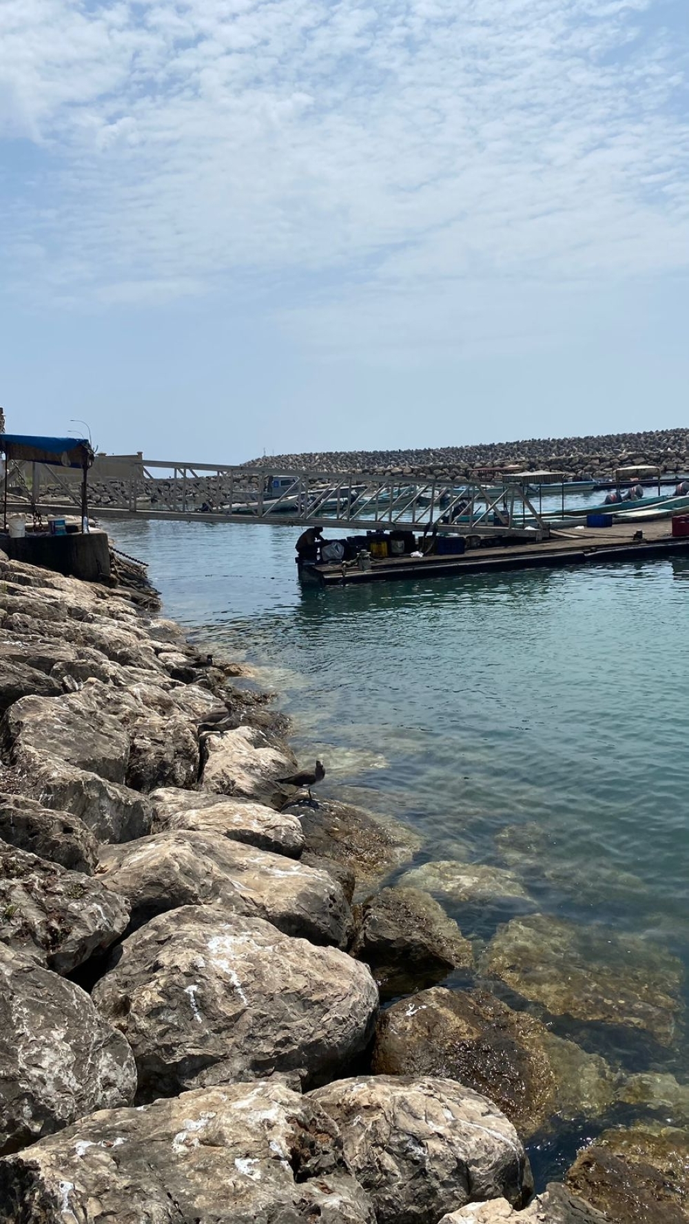 310122624_8668528643187185_4313713793595300362_n