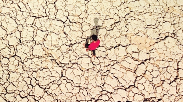 Cracked and dried! - Vimarsana News