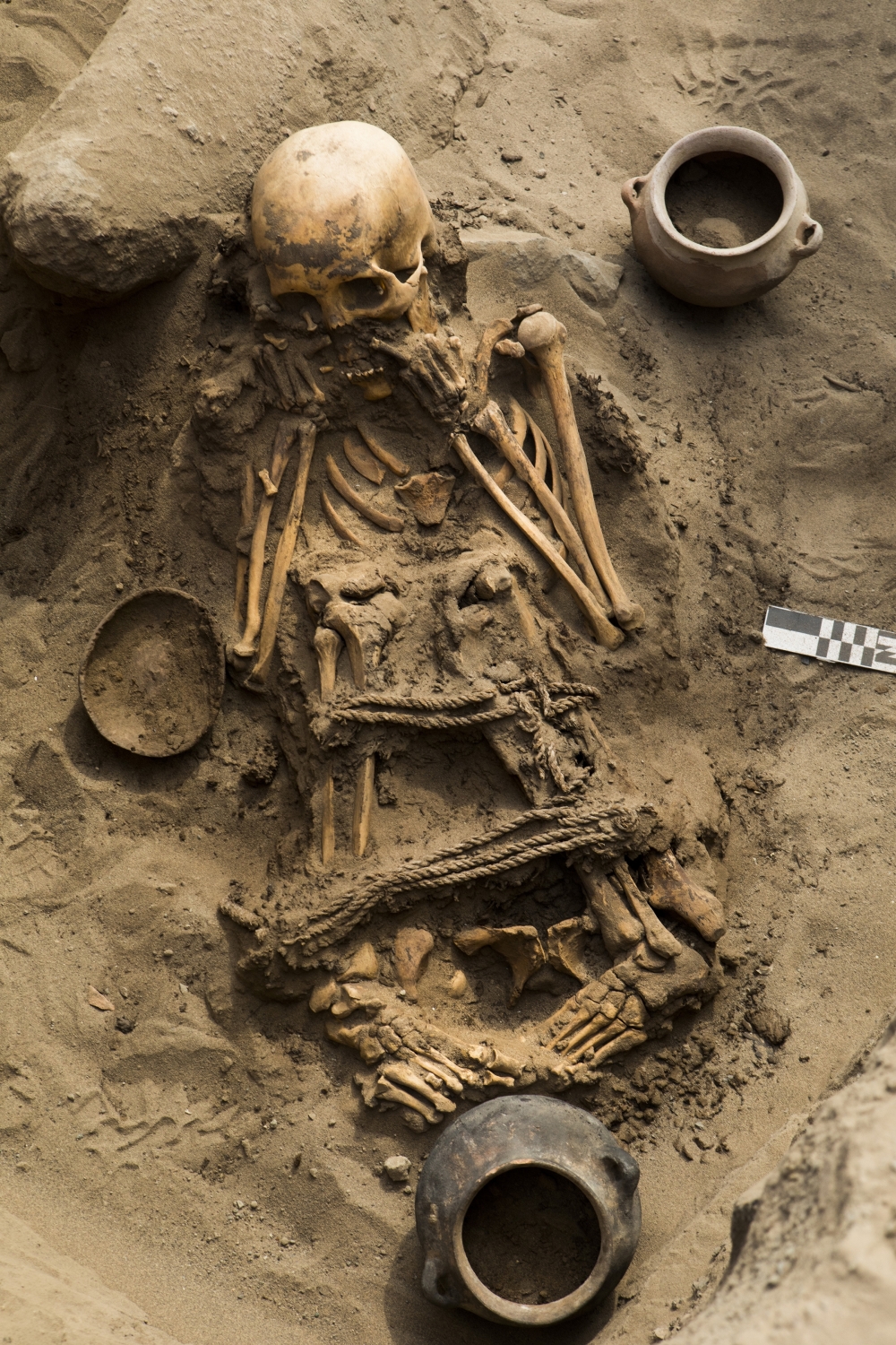 A skeleton recovered from a burial site beneath a street in a residential district north of Lima, Peru, Sept. 30, 2022. (Marco Garro/The New York Times)