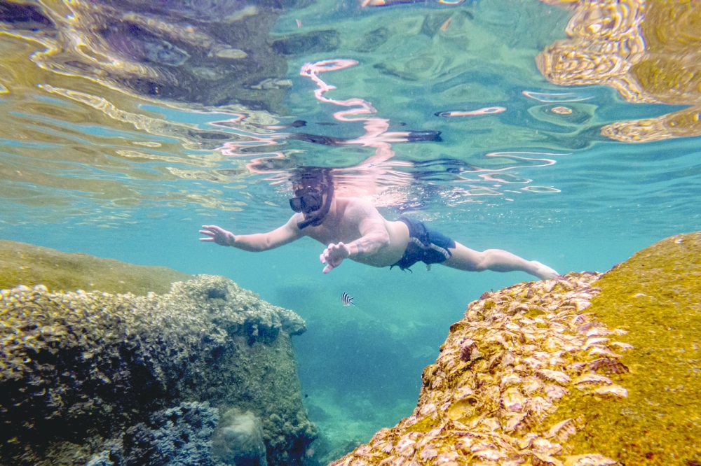 A tourist snorkels in Tanote Bay, Koh Tao, Thailand, on Sept. 4, 2022. (Jack Taylor/The New York Times)