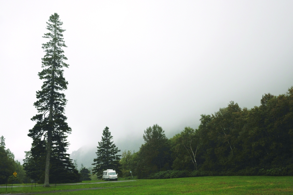 Forillon National Park in Quebec, Sept. 14, 2022. (Nasuna Stuart-Ulin/The New York Times)