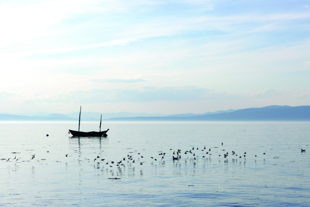 Sandpipers dart across the water along the banks of the St. Lawrence River at dusk in Kamouraska, Quebec, Sept. 11, 2022. (Nasuna Stuart-Ulin/The New York Times)