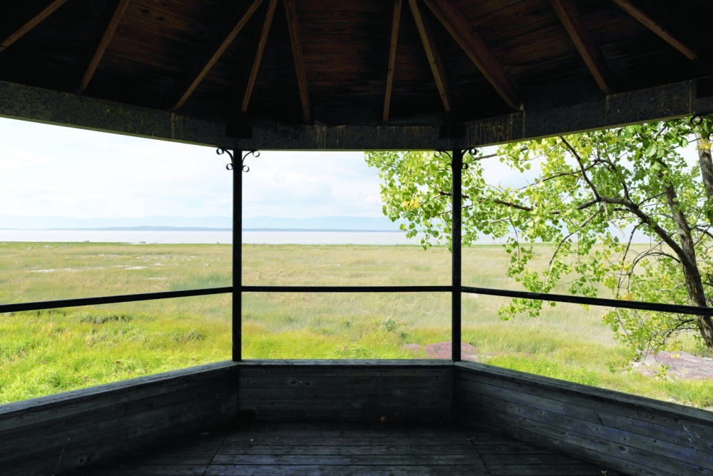 A view of a migratory bird sanctuary in L’Islet, Quebec, Sept. 11, 2022. (Nasuna Stuart-Ulin/The New York Times)