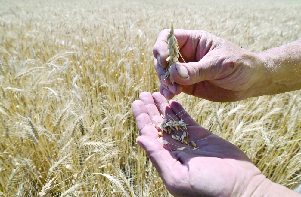 The Ukrainian drone attack on the Russia navy was a rather weak justification to block the Ukrainian exports to pass through the Black Sea. It was just a tenuous excuse on the part of the Russians to bully the Kyiv government.