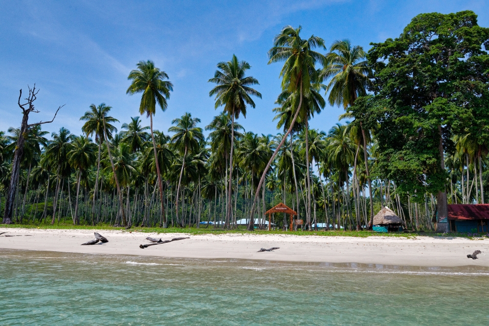 A beach on Long Island in the Andaman Islands in India in November 2022. (Poras Chaudhary/The New York Times)