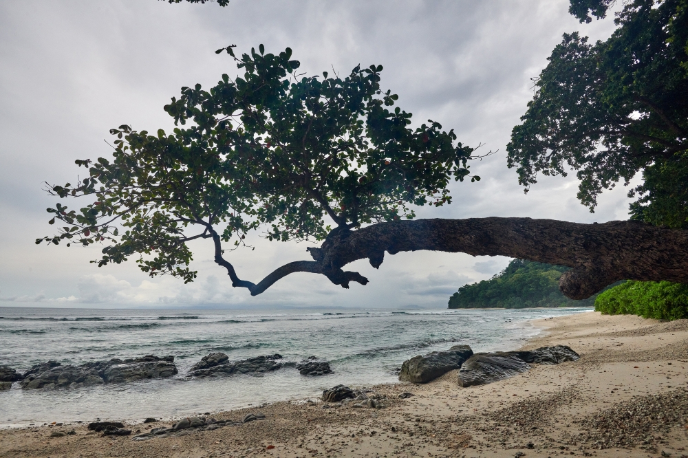 Radha Nagar beach on Havelock Island in the Andaman Islands in India in November 2022. (Poras Chaudhary/The New York Times)