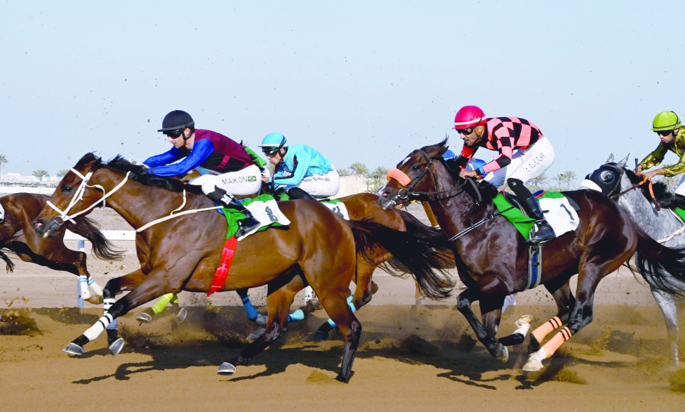 horse2