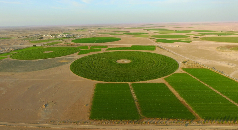 Najd Agriculture
