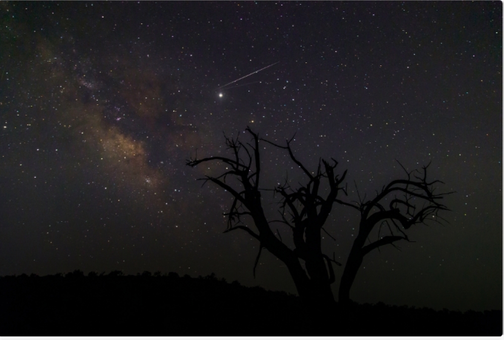 You can witness Geminid meteor showers this week Oman Observer