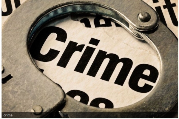 Expert: Better not to jump into assumptions in crime cases - Vimarsana News