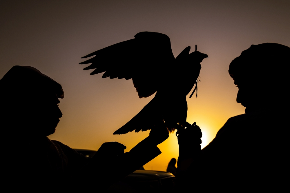 Falconry hobbyists gather outside of Al Khor, Qatar, on Dec. 3, 2022, to train their falcons for hunting competitions. (Erin Schaff/The New York Times)
