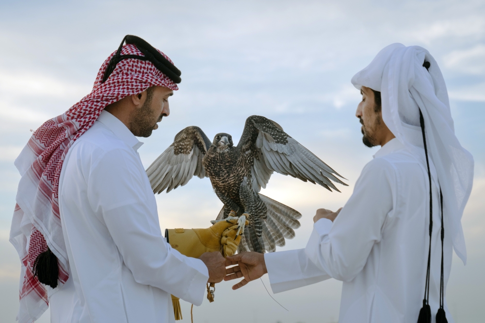 Falconry hobbyists gather outside of Al Khor, Qatar, on Nov. 29, 2022, to train their falcons for hunting competitions. (Erin Schaff/The New York Times)