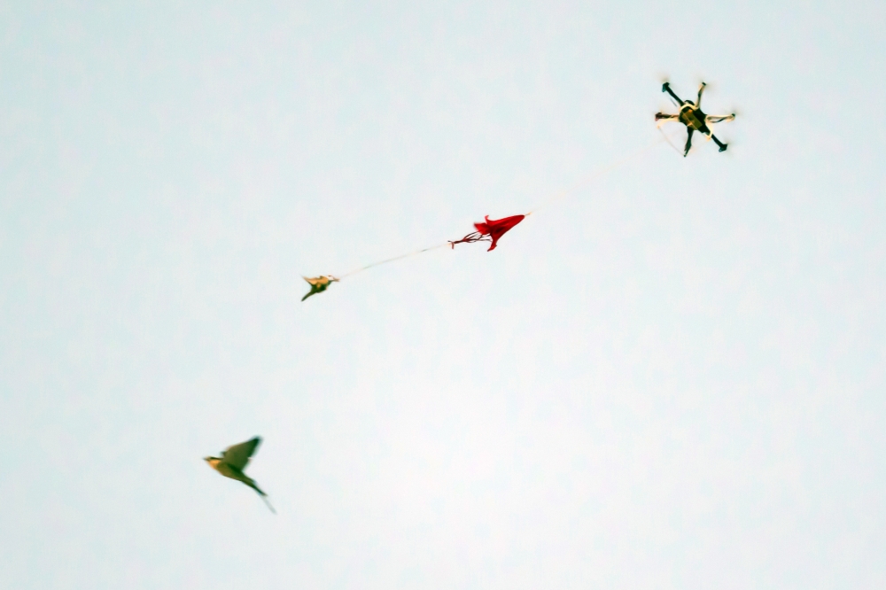 A drone pulls a red parachute that is attached to a live pigeon during a training session for falcons outside of Al Khor, Qatar, on Dec. 3, 2022.  (Erin Schaff/The New York Times)