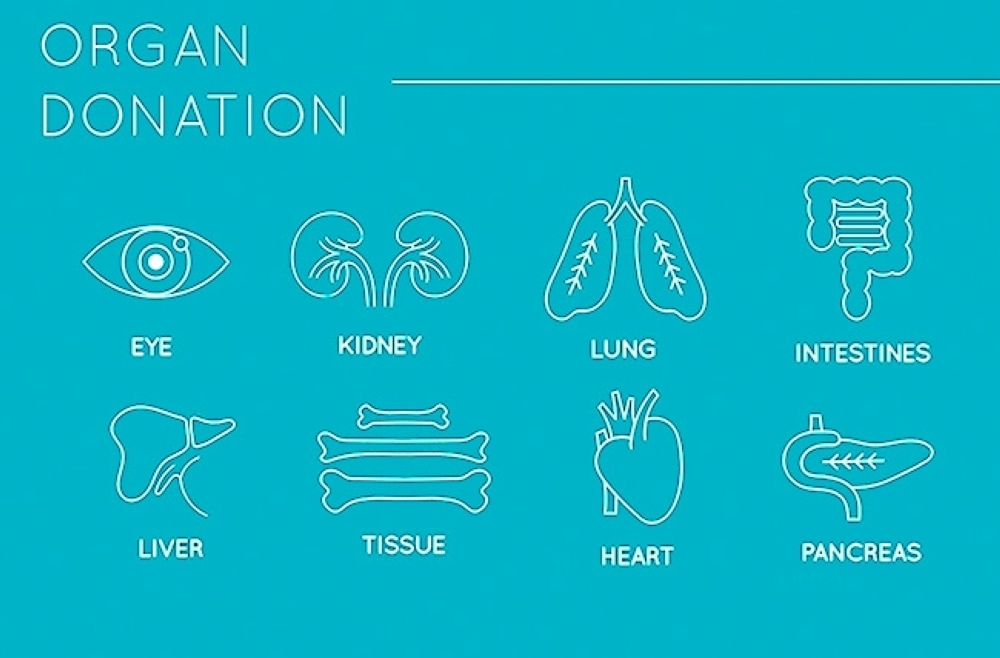 Organ Donation icon set