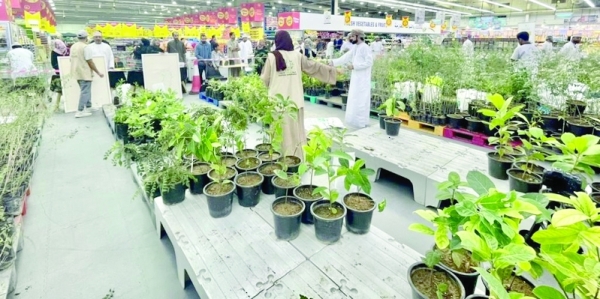 Tree plantation campaign launched in Al Amerat - Vimarsana News