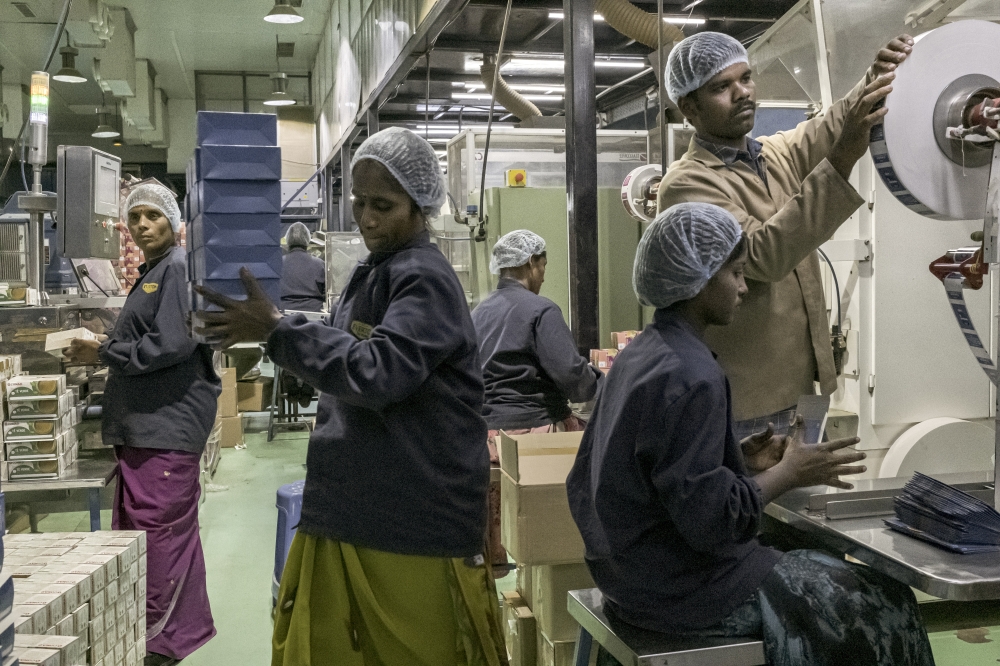 A production line at a tea manufacturer near Chennai, in Sri City, India on Dec. 20, 2022. (Mauricio Lima/The New York Times)
