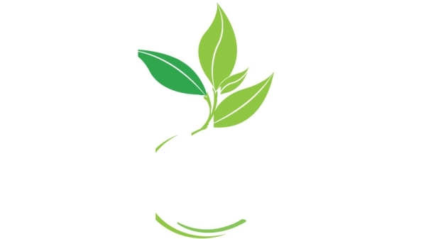 World Environment Day: Clean and Green Oman - Vimarsana News