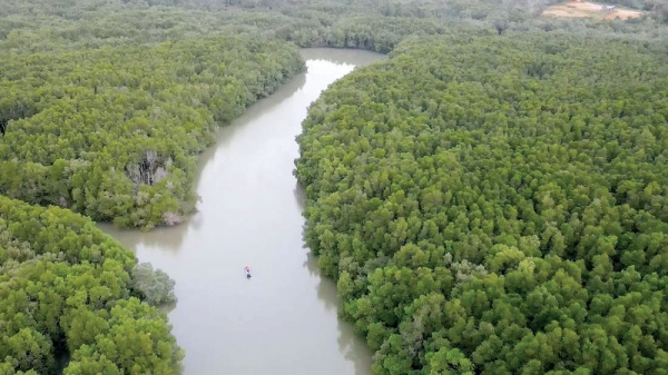 New Indonesia capital imperils ancient Eden with 'ecological disaster' - Vimarsana News