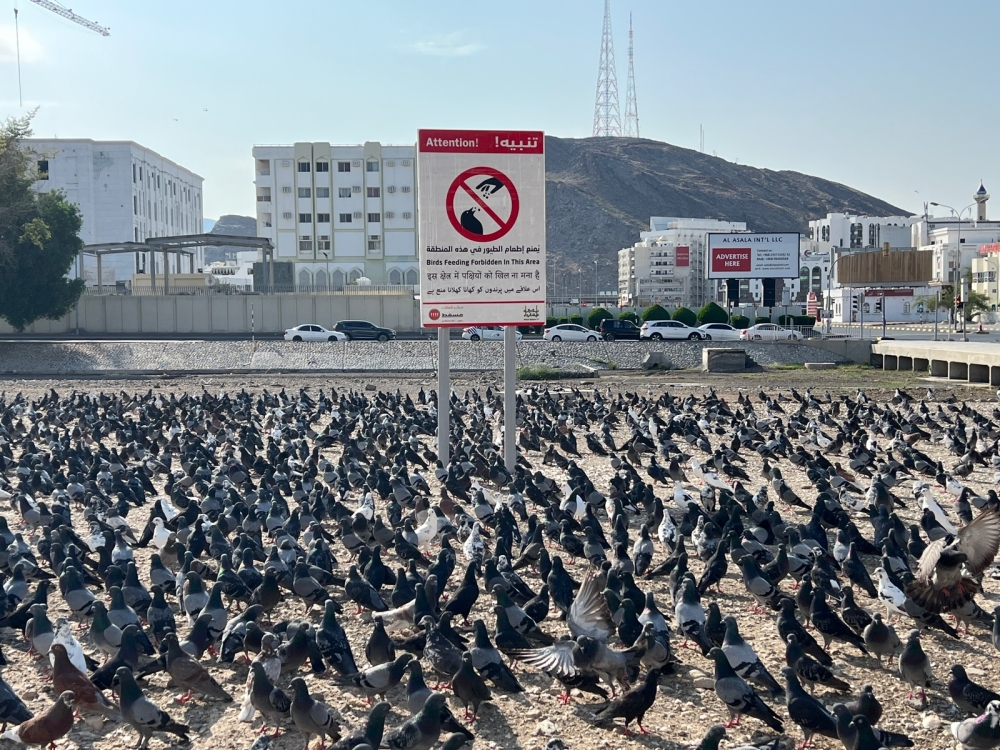 WhatsApp Image 2023-01-07 at 6.24.53 PM