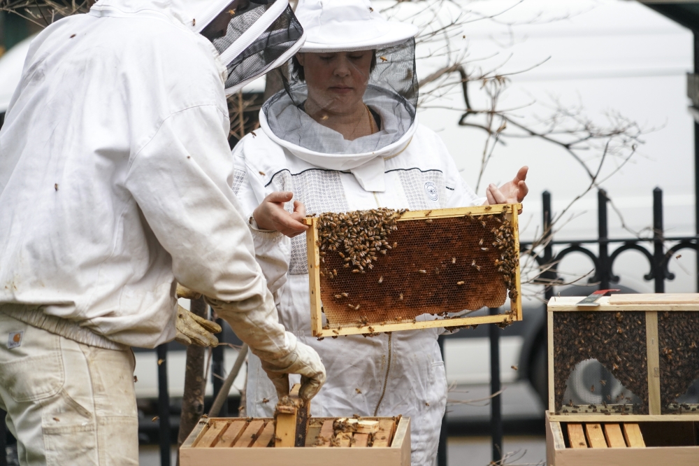 A beekeeper at the Bryant Park apiary in New York, April 13, 2018. (Chang W. Lee/The New York Times)