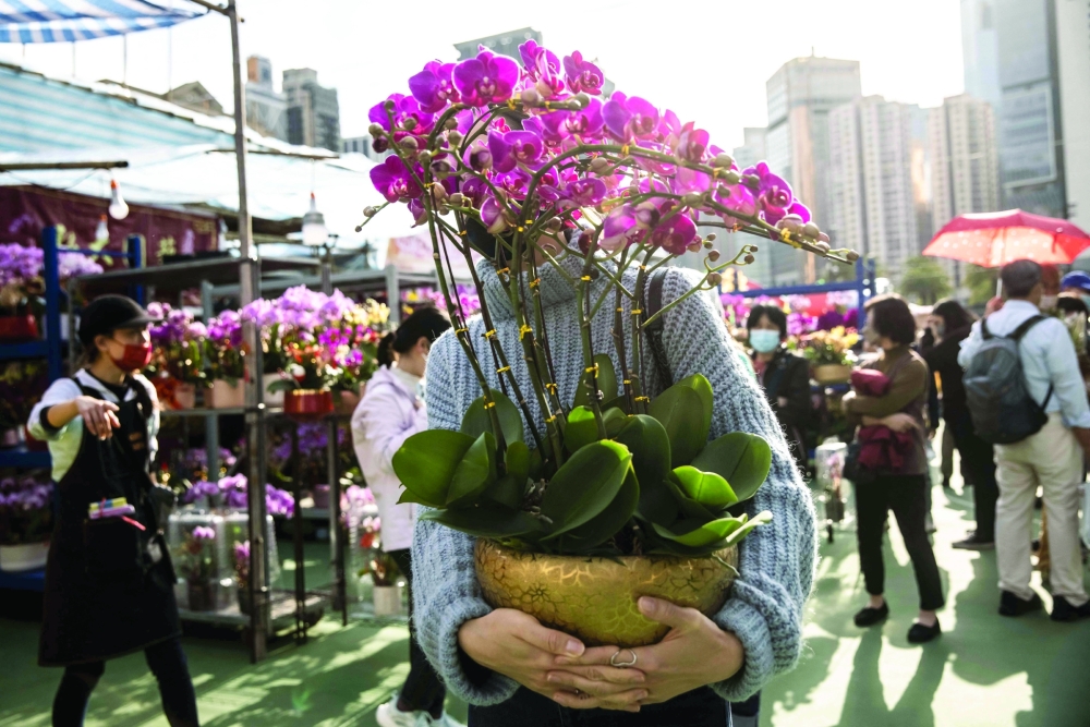 A woman carries a orchid at a Lunar New Year market in Hong Kong ahead of the Lunar New Year of the Rabbit, which falls on January 22. - AFP


