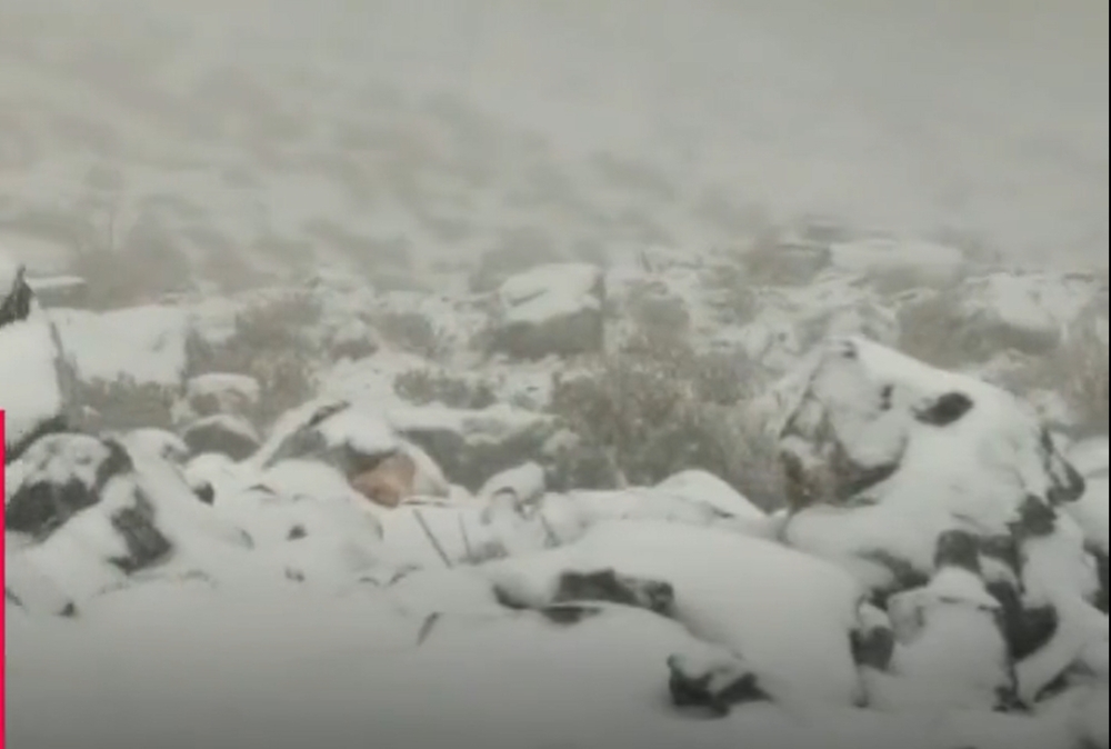 Videos from Oman TV and Weather Omanya