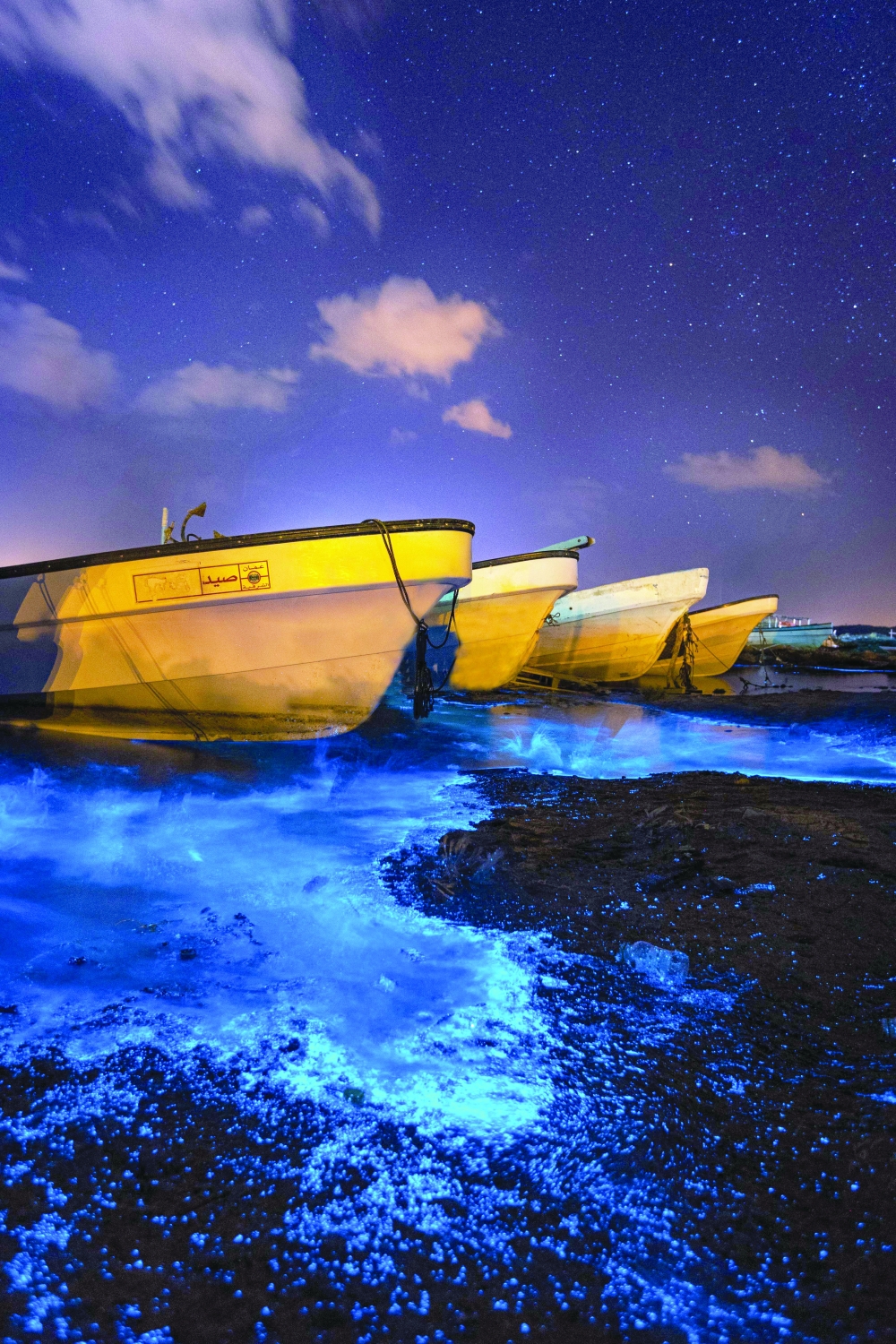 Photo by Natalia Mikahilova