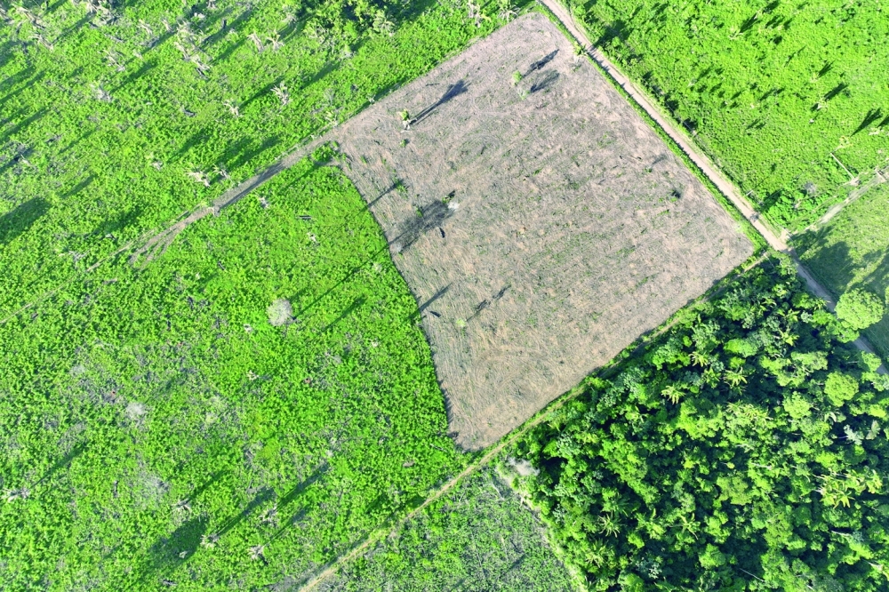 An aerial view shows a deforested area during an operation to combat deforestation at the Cachoeira Seca indigenous reserve in Uruara, Brazil. -- Reuters