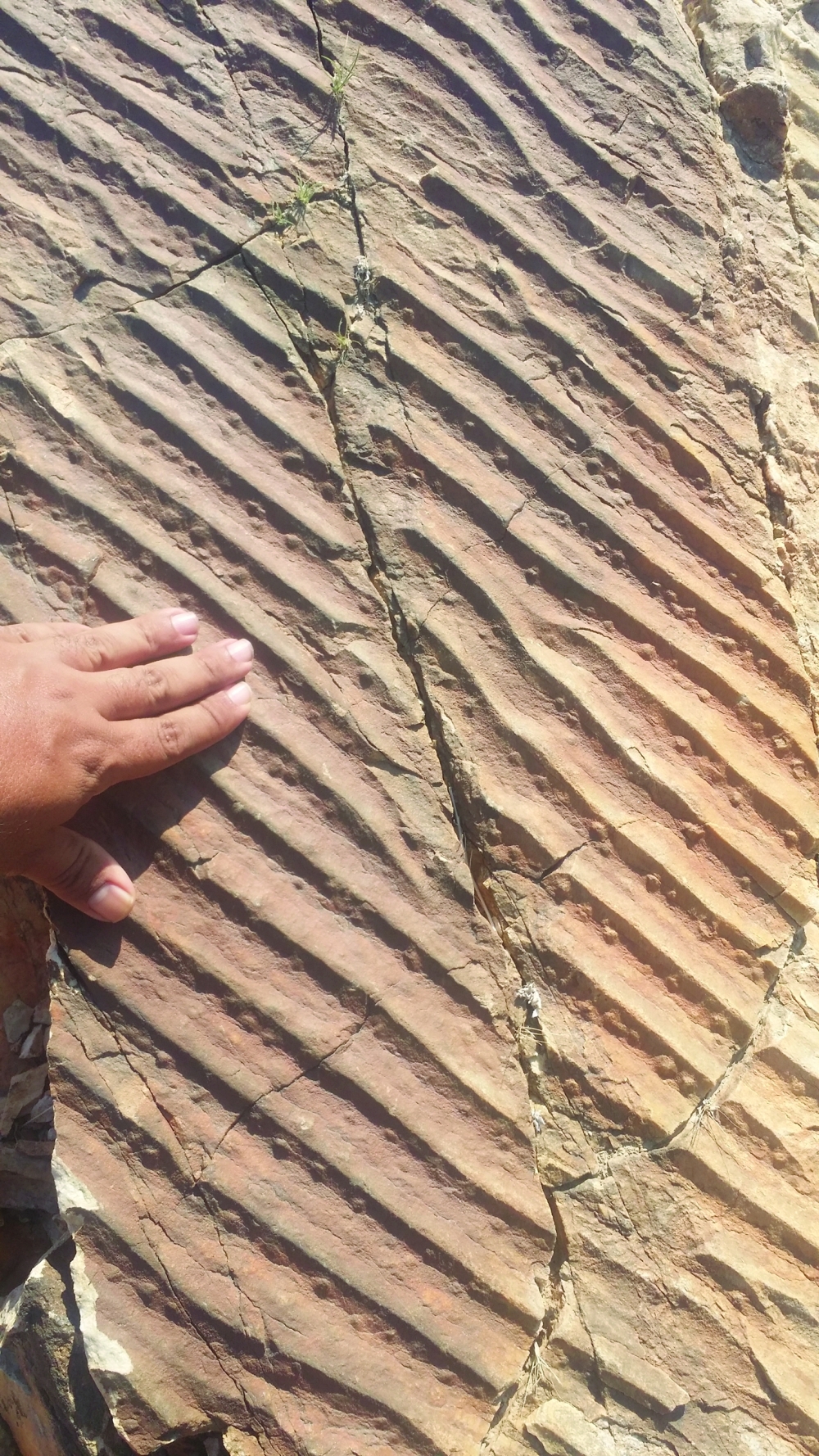 The effects of sea waves are more than 450 million years old