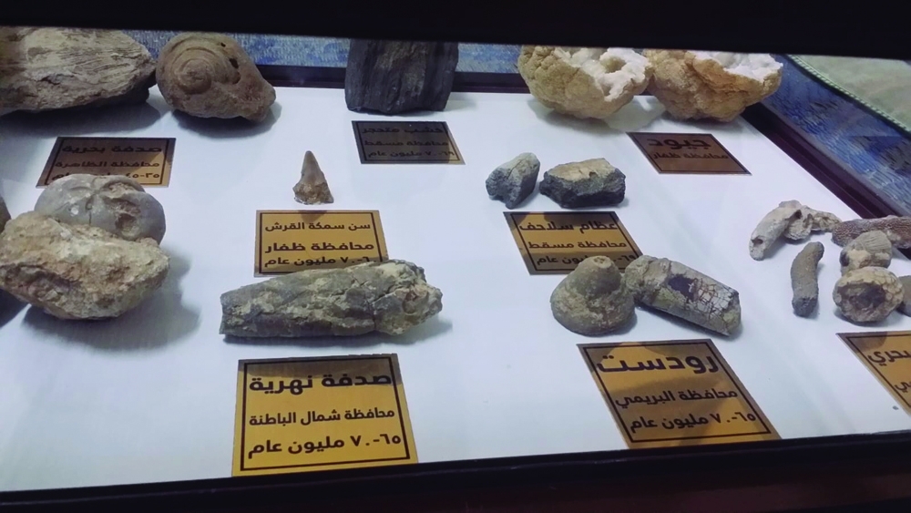 Fossils, rocks at Majid's Museum (8)