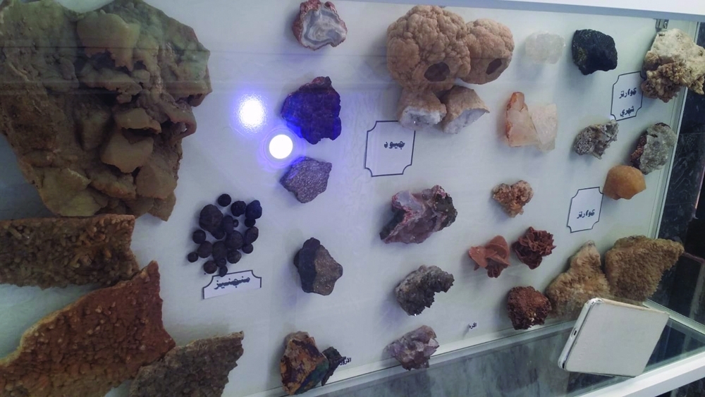 Fossils, rocks at Majid's Museum (6)