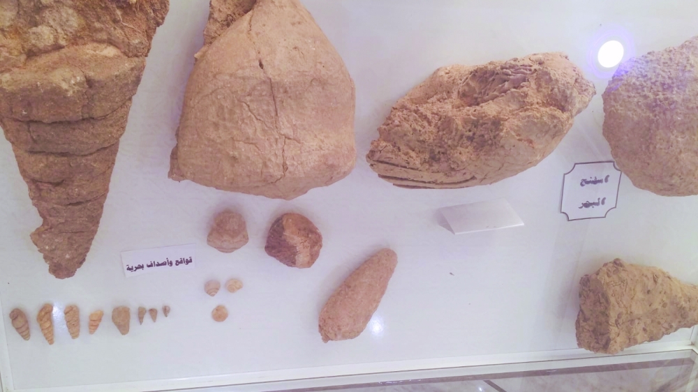 Fossils, rocks at Majid's Museum (4)