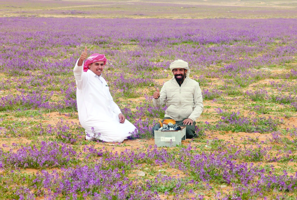 A field covered with lavender-coloured blooms in Rafha town. -- AFP