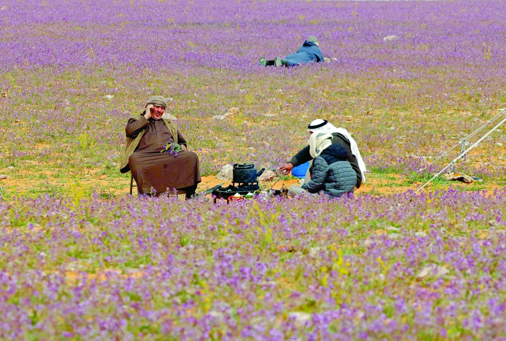 A field covered with lavender-coloured blooms in Rafha town. -- AFP