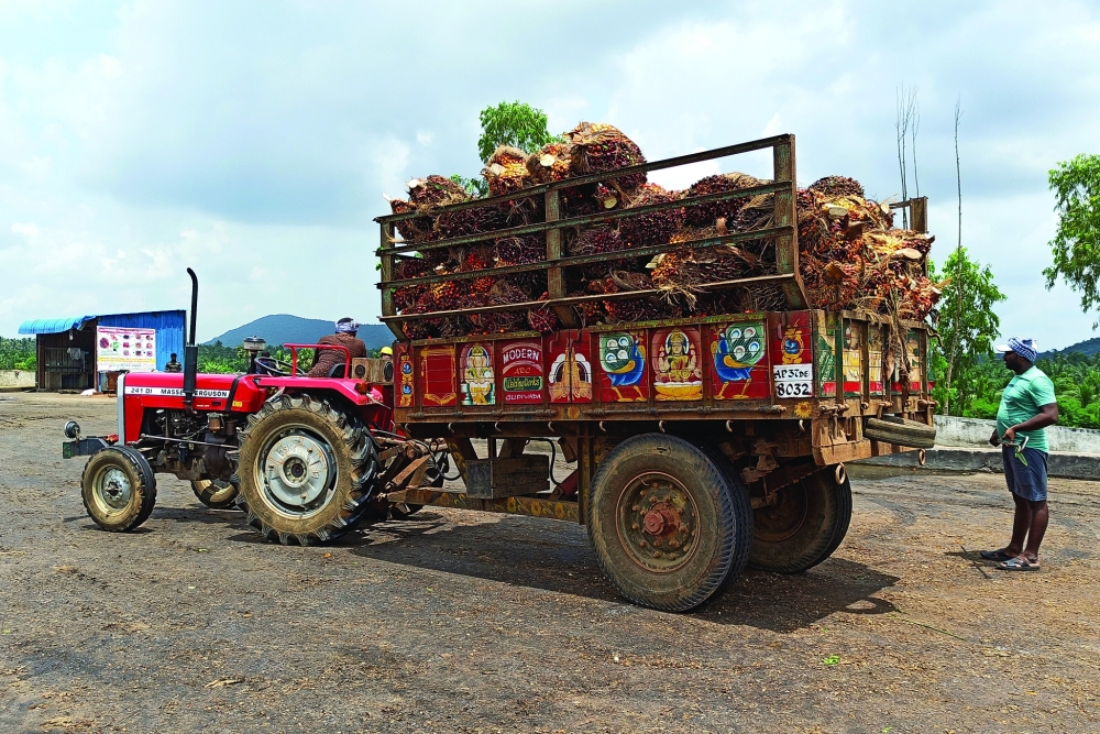 A farmer prepares to unload oil palm bunches from a tractor trolley in a mill at Dwaraka Tirumala