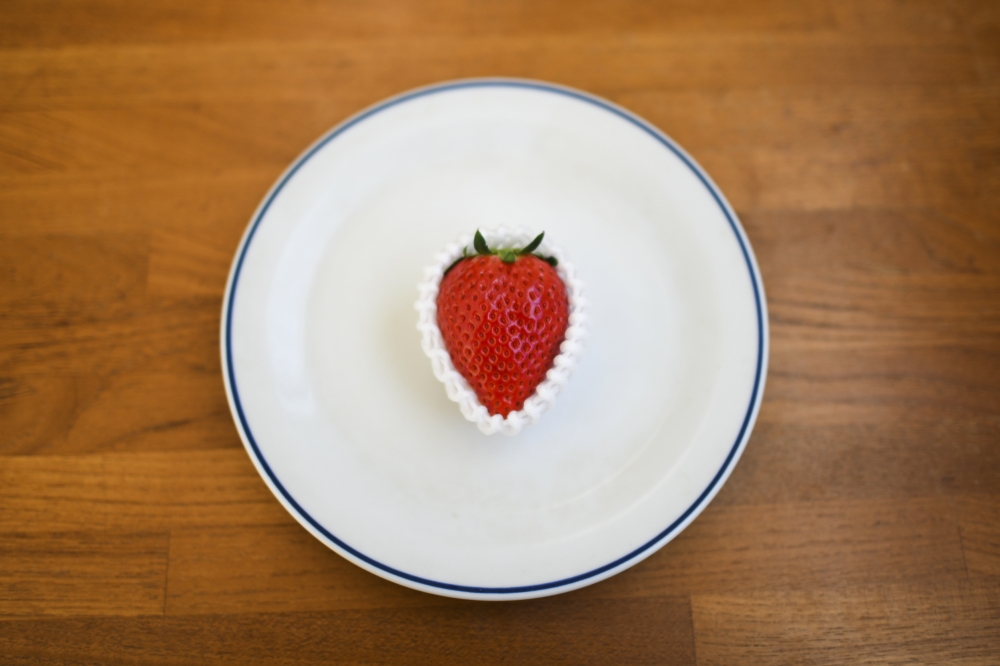  A wintertime strawberry, swaddled in protective padding, in Tokyo on Feb. 22, 2023. (Noriko Hayashi/The New York Times)