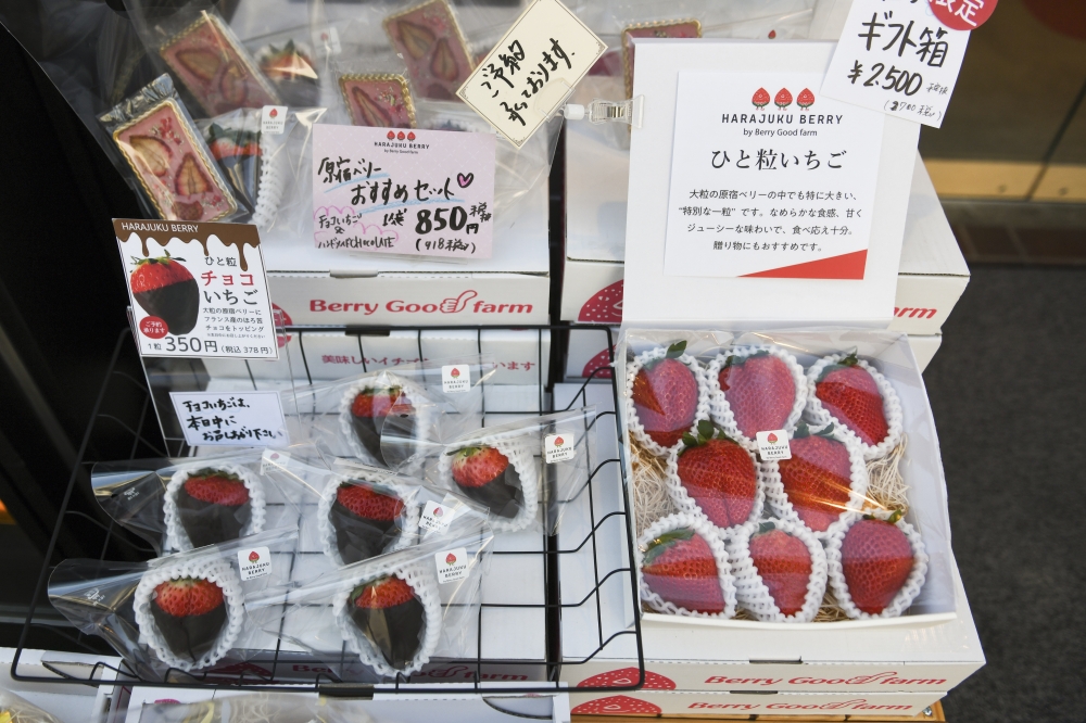 Wintertime strawberries for sale, with or without chocolate, at a fruit shop in Tokyo on Feb. 22, 2023. (Noriko Hayashi/The New York Times)