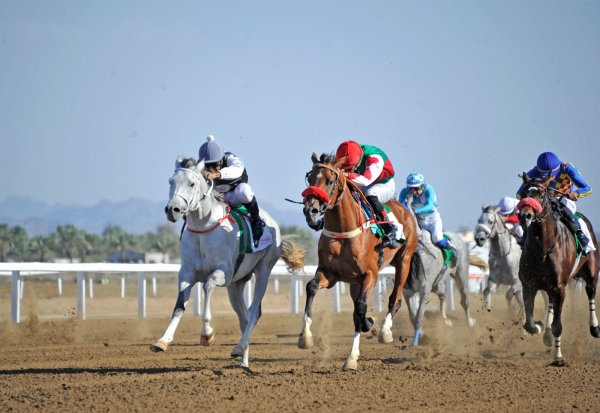 Exciting competitions conclude horse racing season
